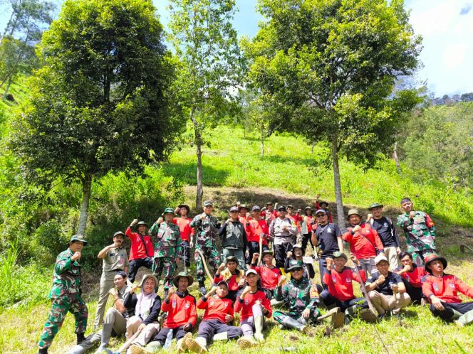 
 Danramil Selo Pimpin Penghijauan Lereng Merbabu, Tanam Pohon Demi Jaga Mata Air dan Cegah Longsor