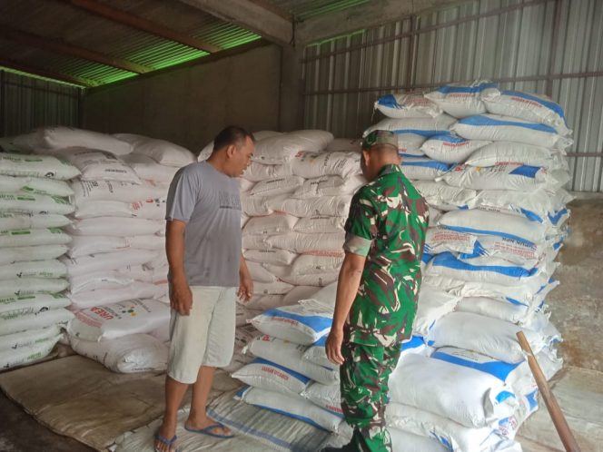 
 Babinsa Kemusu Turun Langsung ke Kios Pertanian, Pastikan Stok Pupuk Aman dan Tepat Sasaran