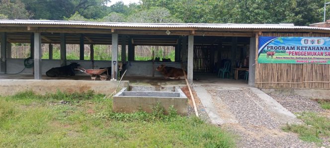 
 Realisasi Ketahanan Pangan Melalui BUMDES Arta Guna ,Pekon Wates ,Pringsewu Dipertanyakan