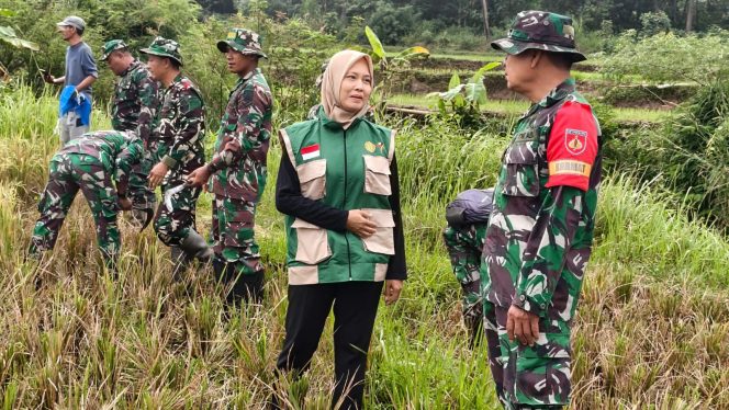 
 Babinsa Kodim 0728/Wonogiri Asah Kemampuan Pertanian, Siap Kawal Ketahanan Pangan Nasional